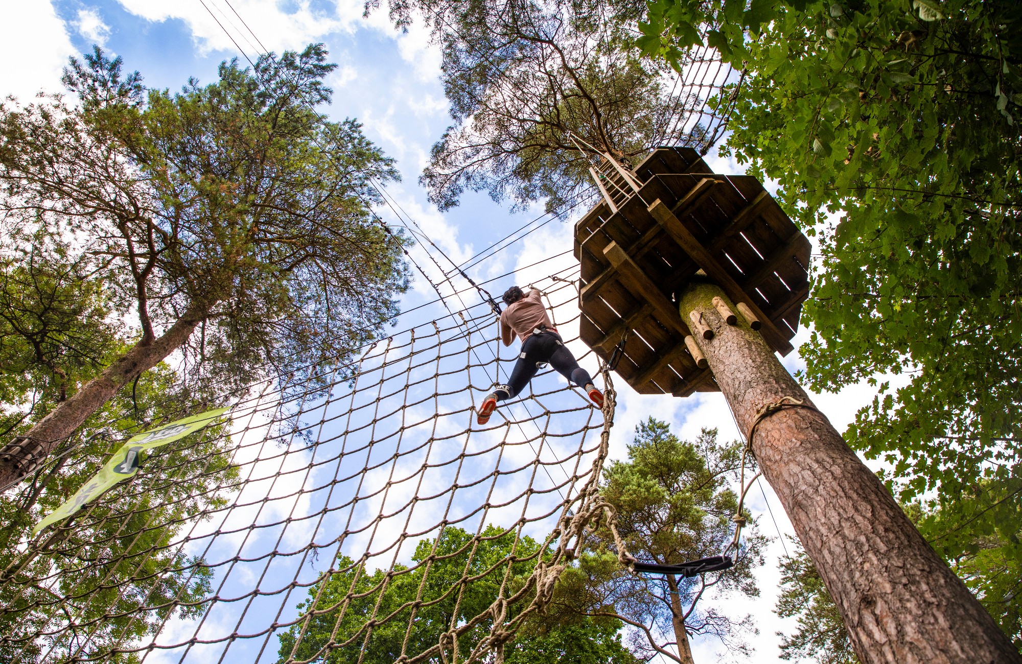 Go Ape Tree Top Challenge at Wendover Woods Forestry England